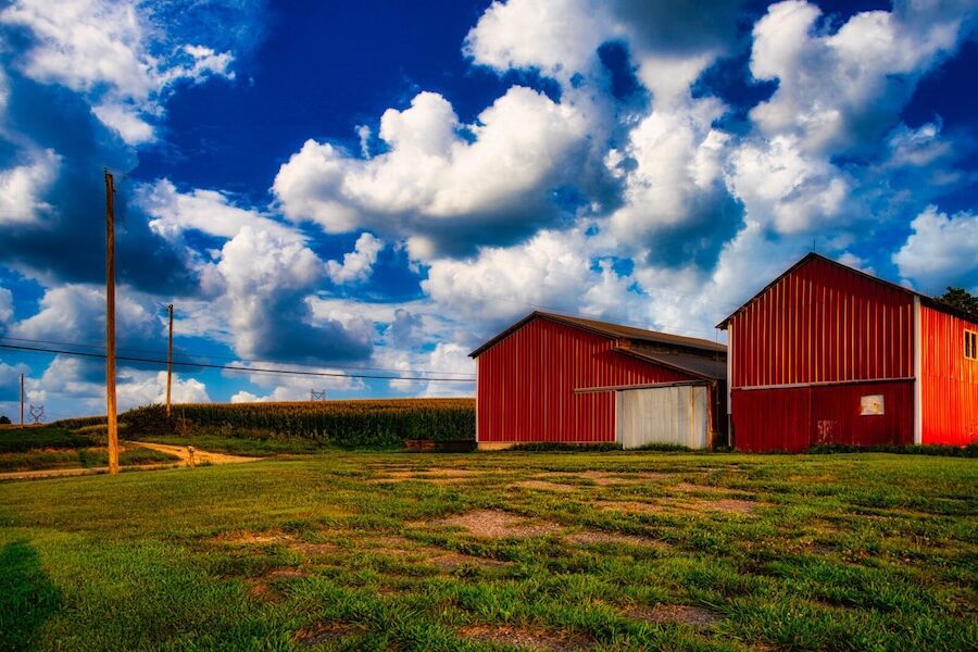 Two red barns sit on green grass under a vibrant blue sky filled with fluffy white clouds.