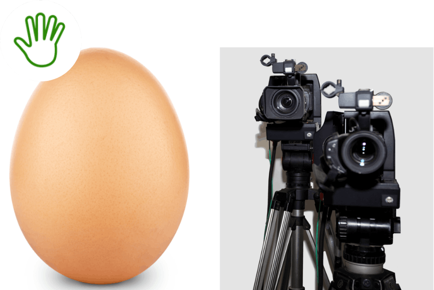 A brown egg on the left, and two video cameras on tripods on the right, facing forward.