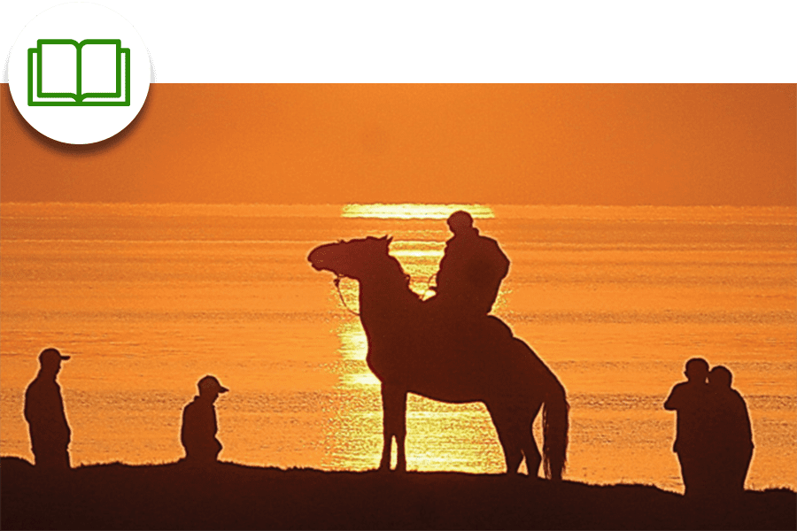 The Silk Road — Reading and Notes