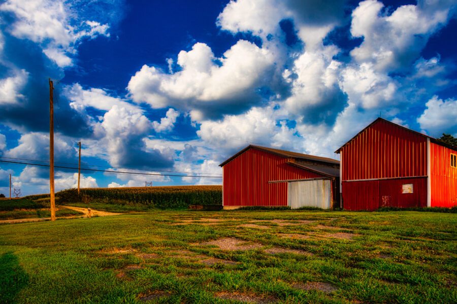 Two red barns sit on green grass under a bright blue sky with scattered white clouds.