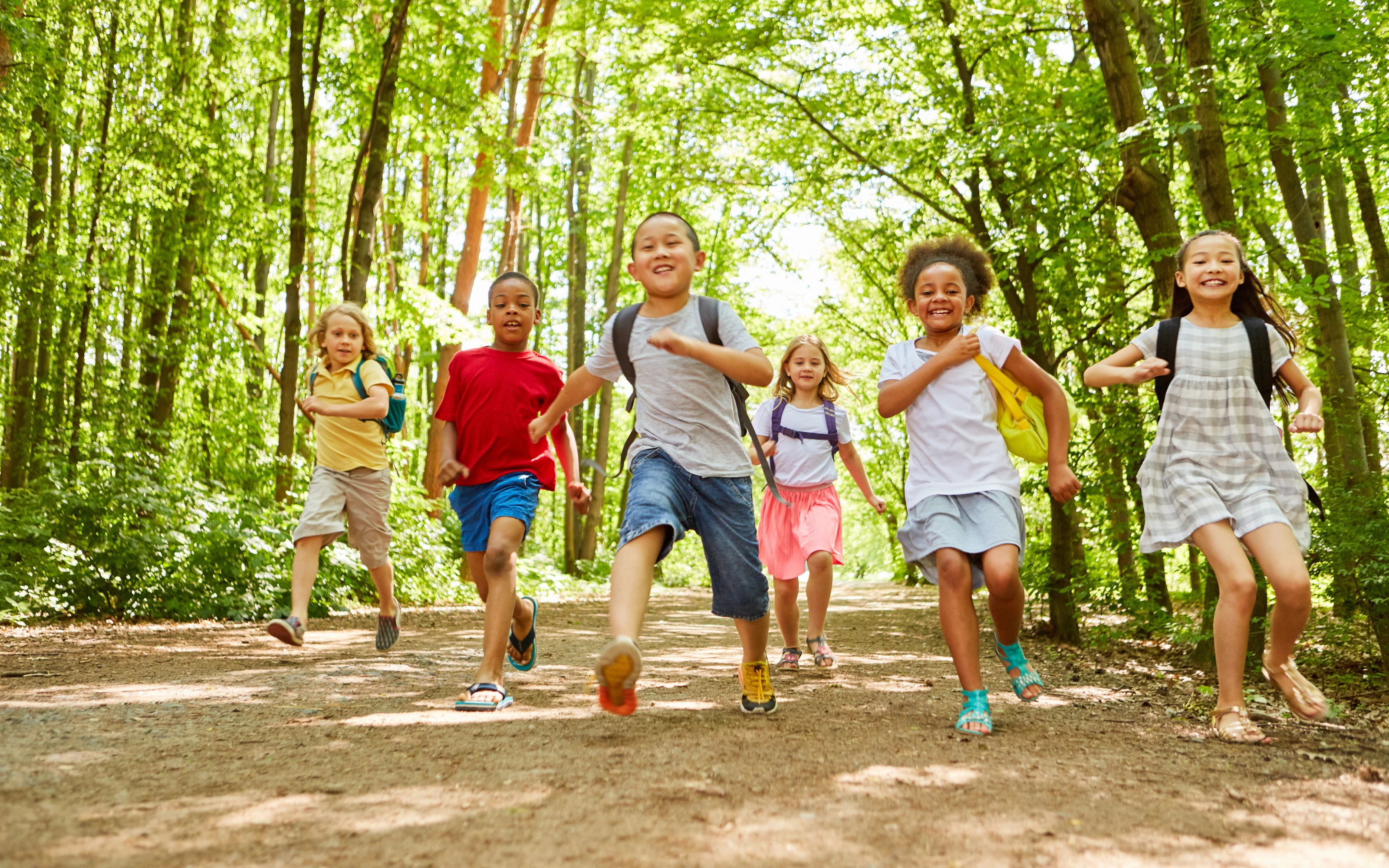 Six children with backpacks run smiling down a sunlit, wooded path, surrounded by tall green trees and dappled sunlight.