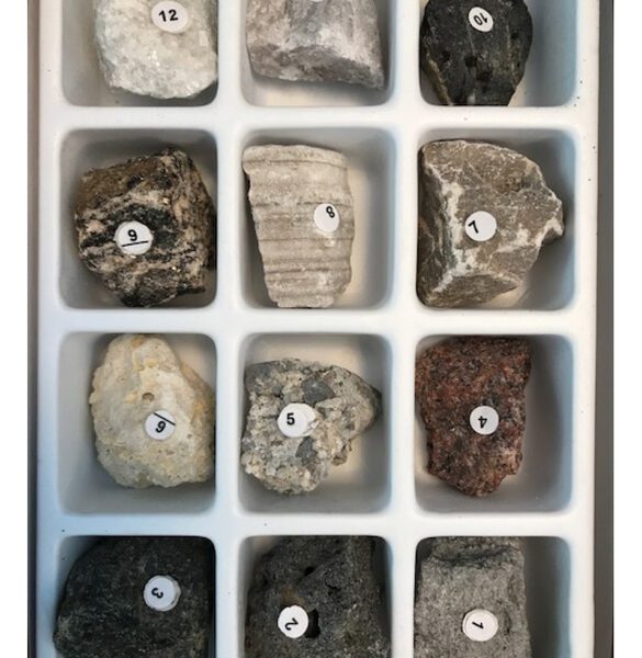 Twelve labeled rock samples in a white tray, each in its own compartment, viewed from above.