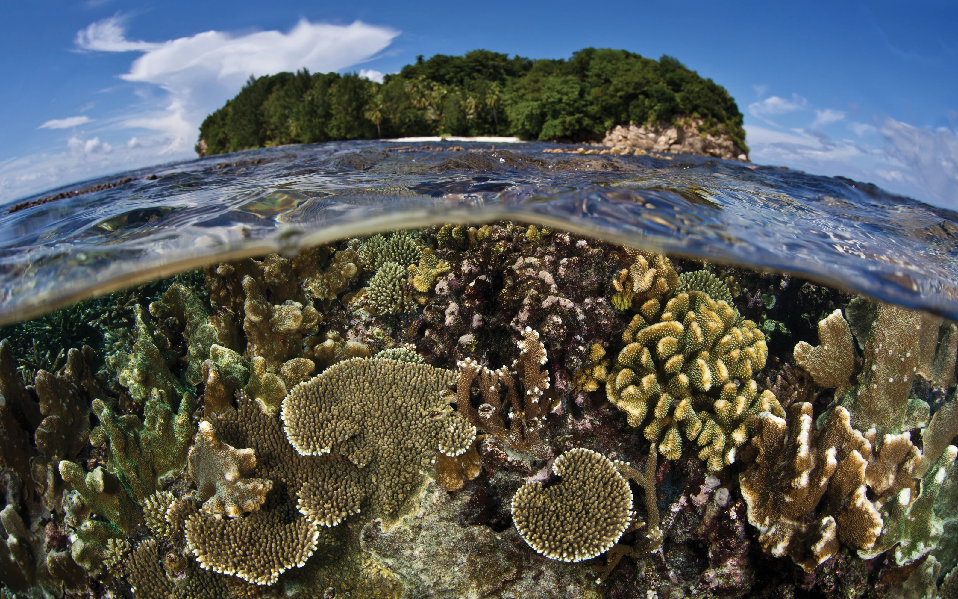 Bring Science Alive! Ecosystems