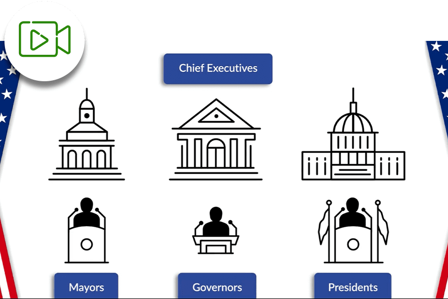 Chief Executives and Bureaucracies — Video Activity