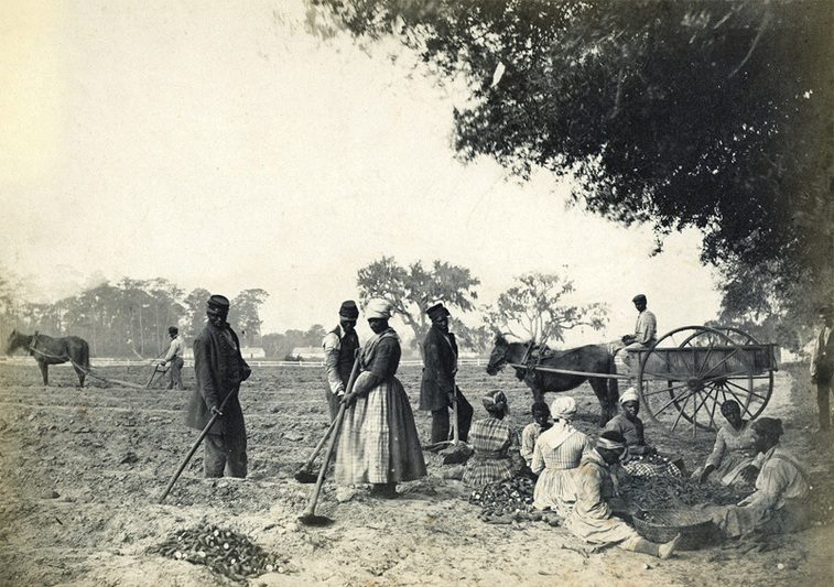 A group of people work in a field with tools, baskets, and a horse-drawn cart under a tree.