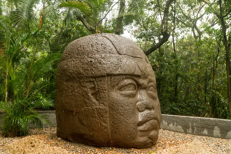 Large ancient stone Olmec head sculpture surrounded by lush green trees and plants outdoors.