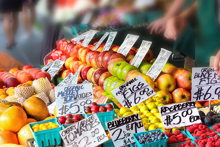 Choices in a Free Market