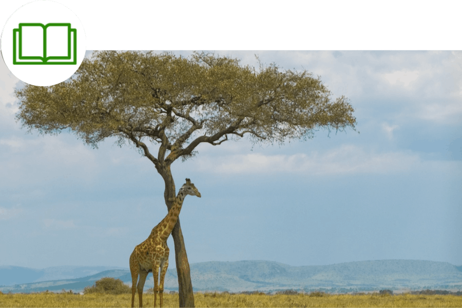 Why Do Some Members of a Species Survive and Not Others? — Student Journal