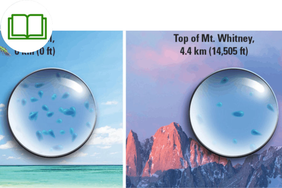 Air Pressure and Wind — Reference Text