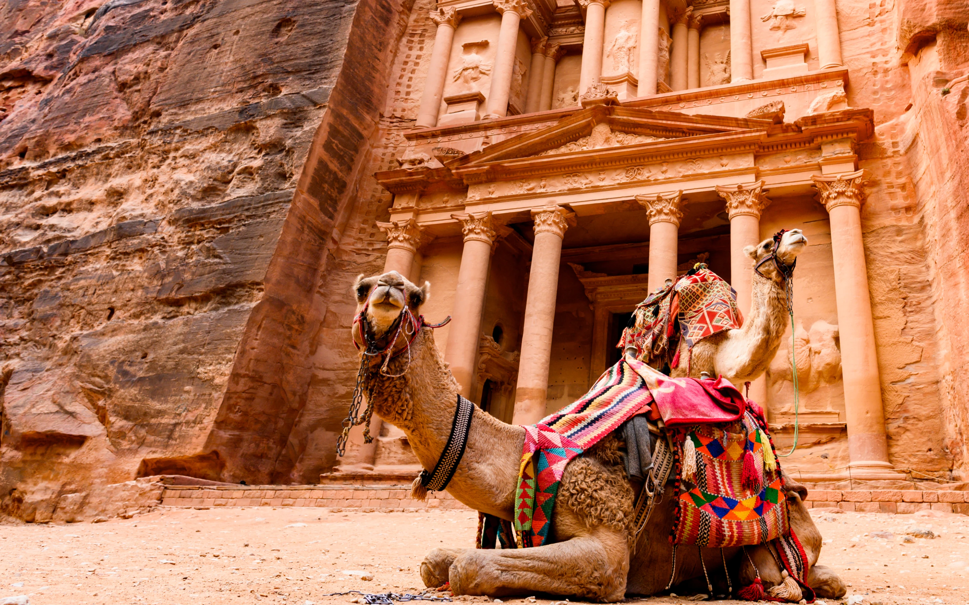 History Alive! The Ancient World