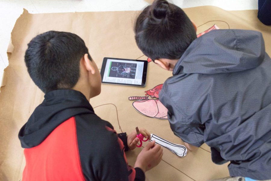 Middle school kids working on science activity.