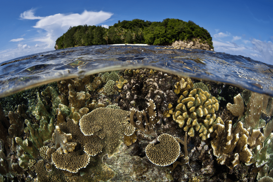 Ecosystems Cover Image