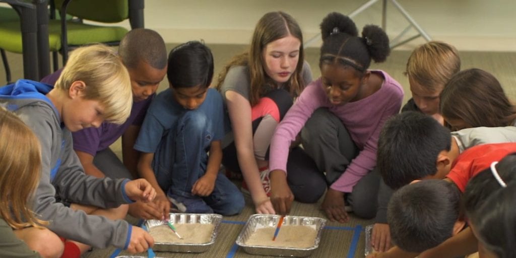 Kids engaged in a science activity