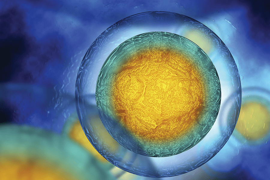 Science-Integrated -Cells and Genetics