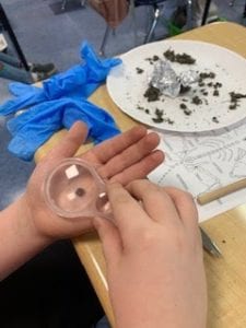 Analyzing pellets - Jen's Science Classroom