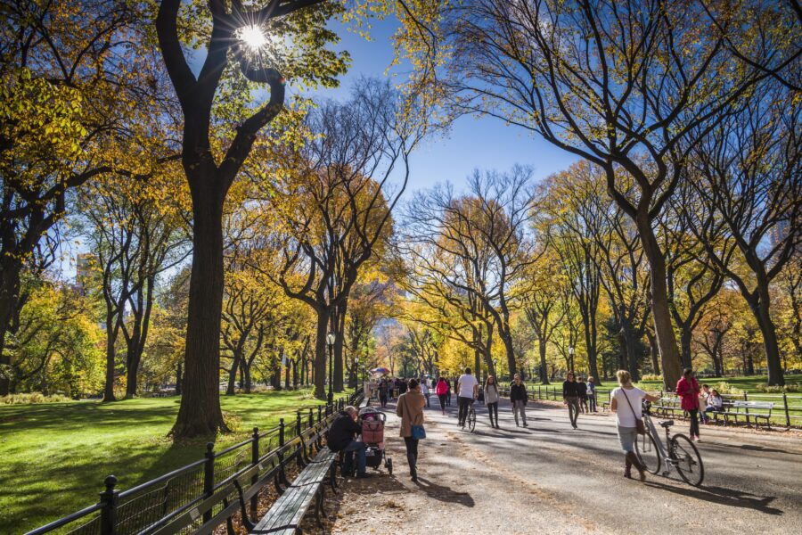 SSA-New York and Its People