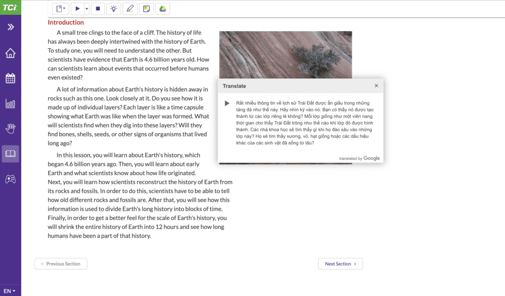 Vietnamese translation tool