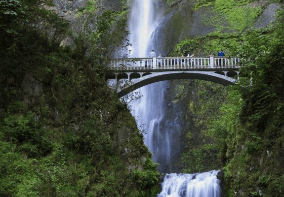 Oregon elementary social studies