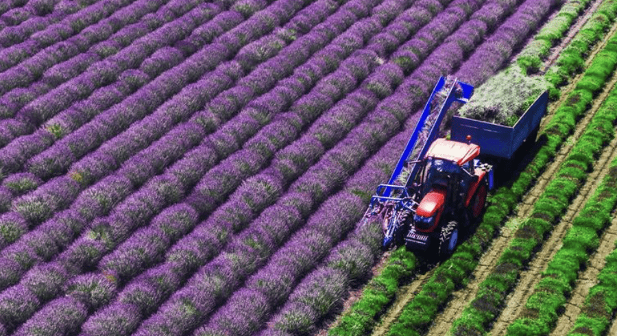 tci geography alive maryland 6th grade